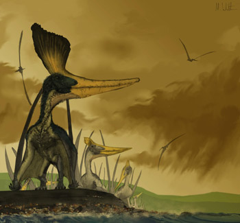 Tiny pterosaurs untimely end