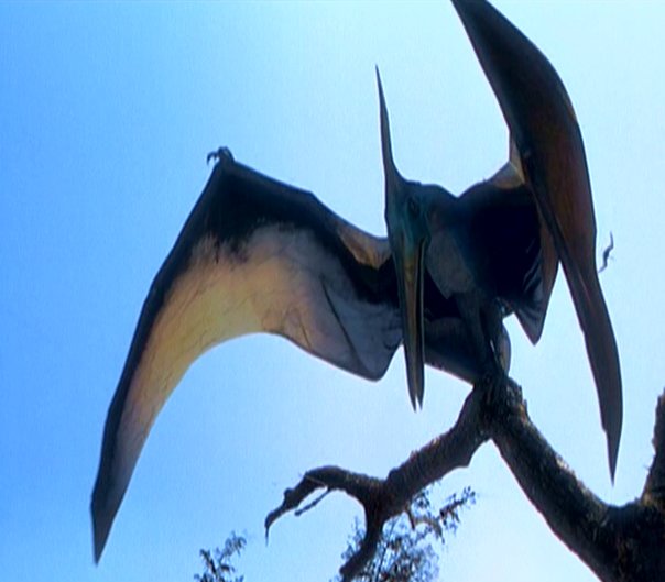Pteranodon in Jurassic
Park: the Lost World