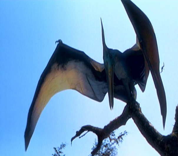 The Myth of the Bat Wing Pterosaur