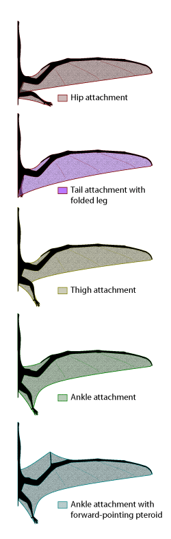 Membrane Configurations