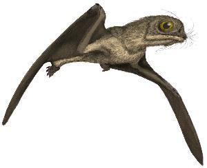 Anurognathus