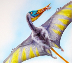 Top 10 Standout Pterosaurs