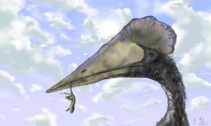 No, these pterosaurs were not Jurassic puffins, Science